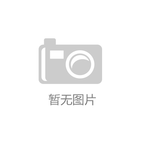 拍杆市场的全场景能手性价比无敌！龙8国际