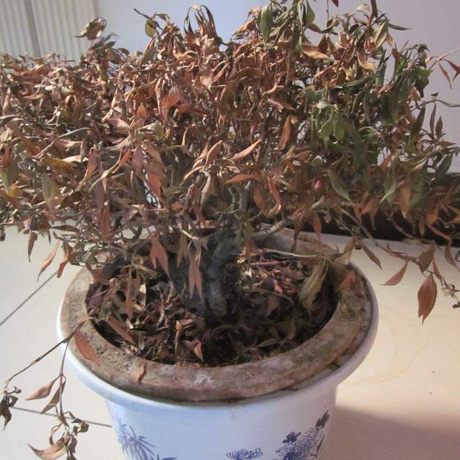 这5种物品一定要尽早处理掉！俗话说：“财不入脏屋”家里有(图6)